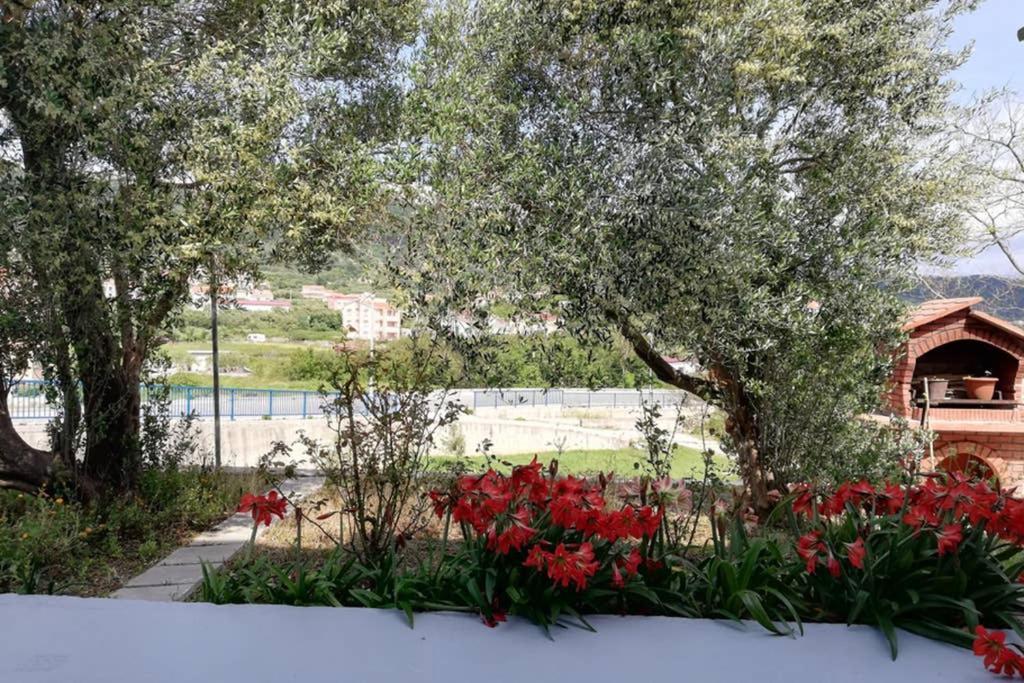 Ribaric Βίλα Banjol Εξωτερικό φωτογραφία