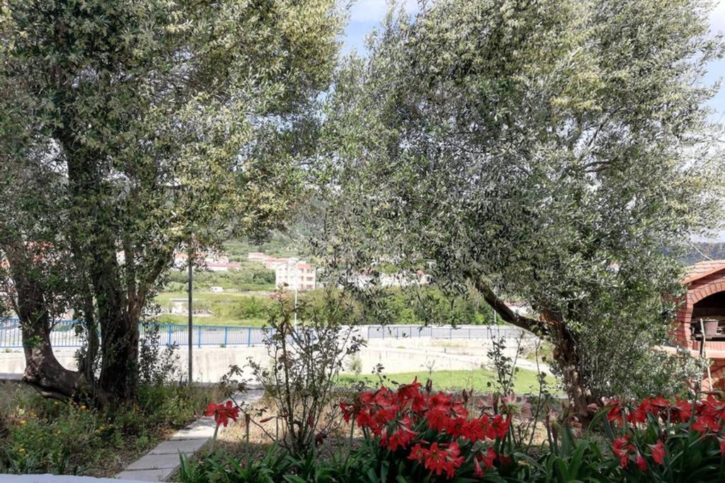 Ribaric Βίλα Banjol Εξωτερικό φωτογραφία